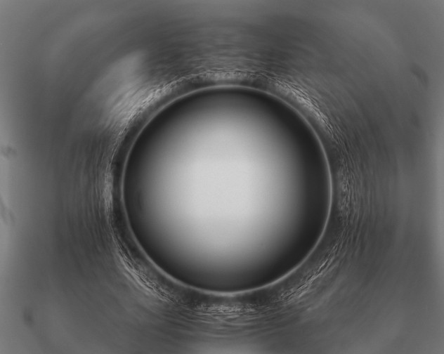 X0000090900631200708061505