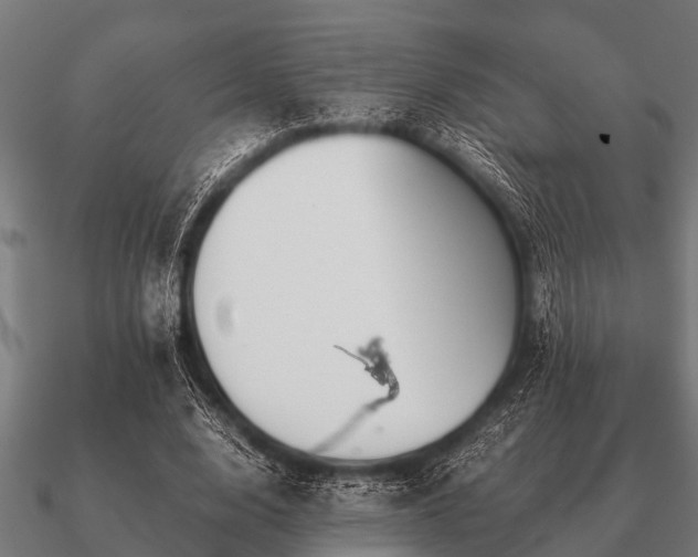 X0000090900632200708061505