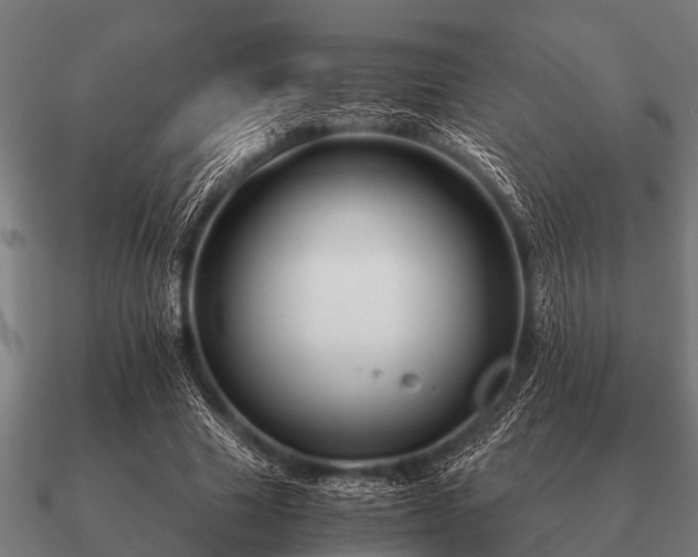 X0000090900633200708061505