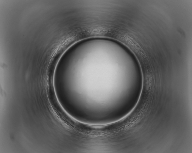 X0000090900634200708061505