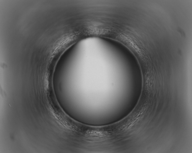 X0000090900635200708061505