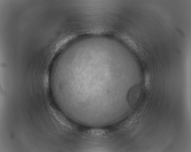 X0000090900636200708061505