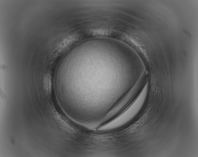 X0000090900637200708061505