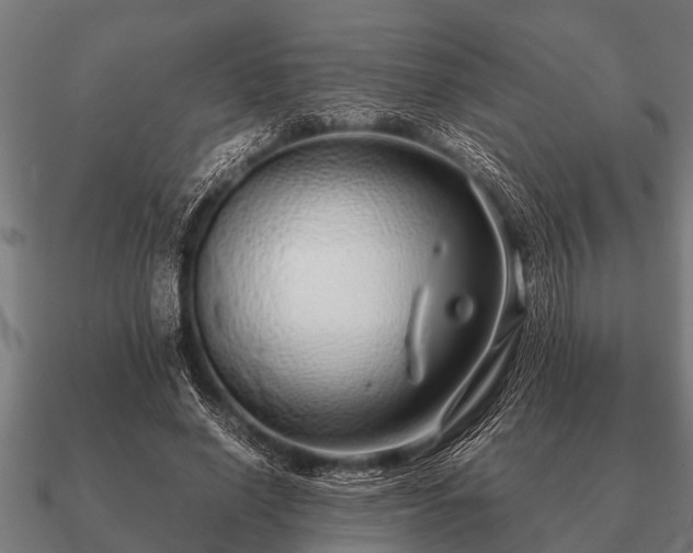 X0000090900638200708061505