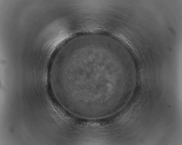 X0000090900640200708061505