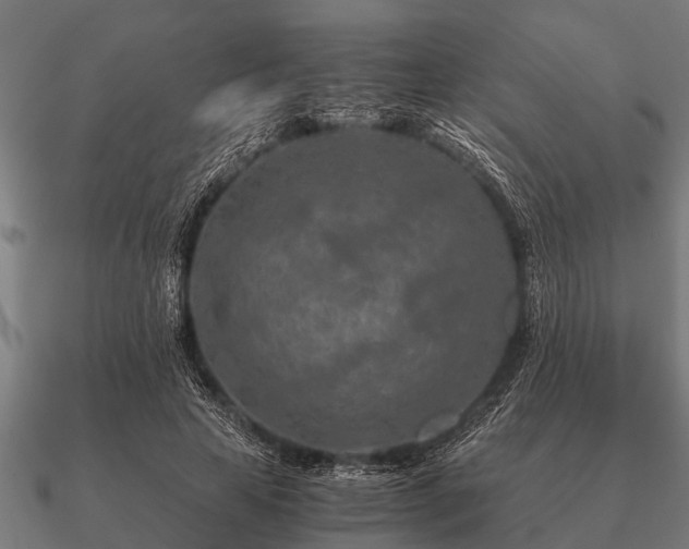 X0000090900641200708061505