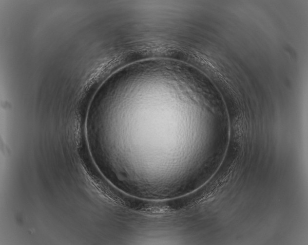 X0000090900642200708061505