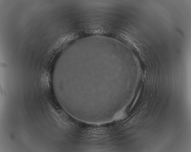 X0000090900643200708061505