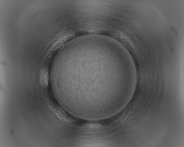 X0000090900644200708061505