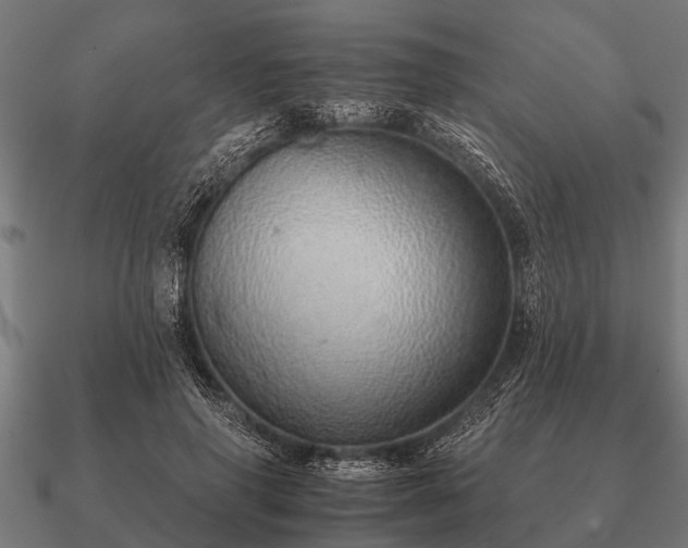 X0000090900645200708061505