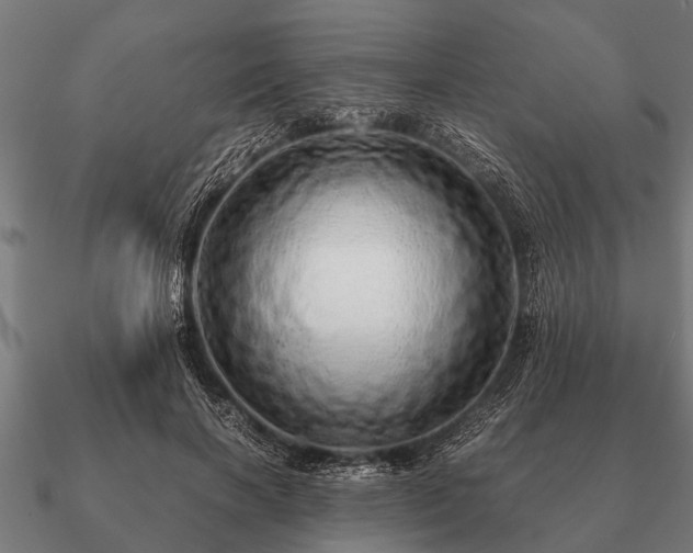 X0000090900646200708061505