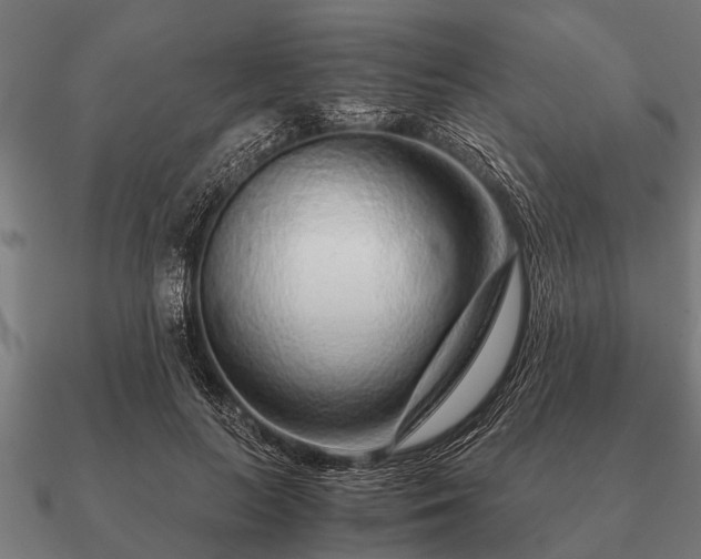 X0000090900647200708061505