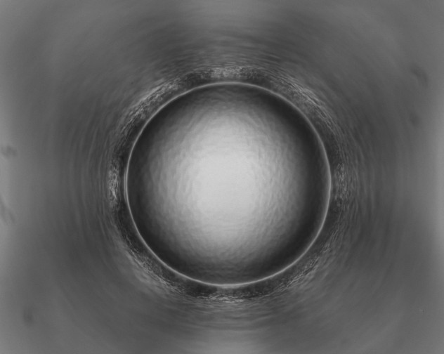 X0000090900648200708061505