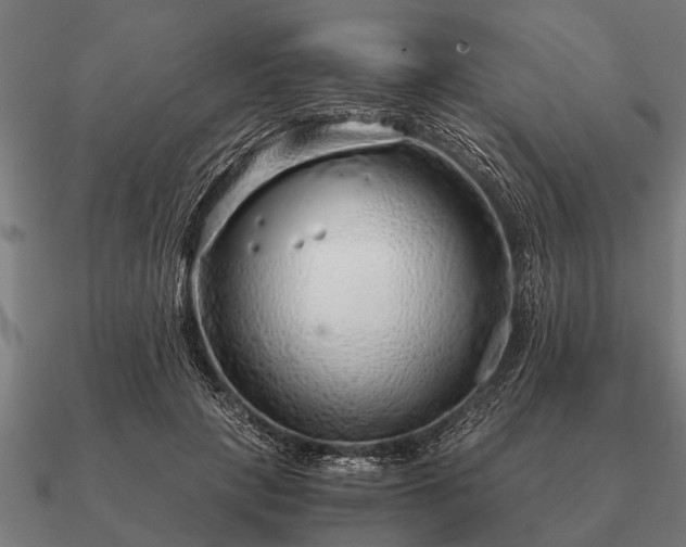 X0000090900649200708061505