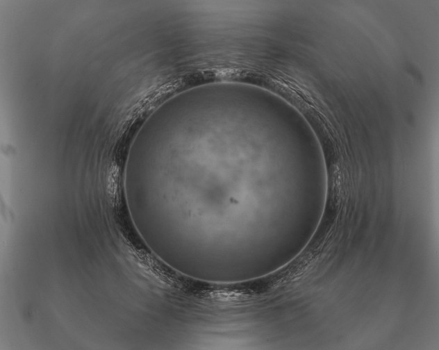 X0000090900650200708061505