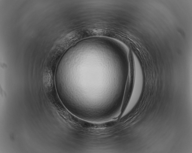 X0000090900651200708061505