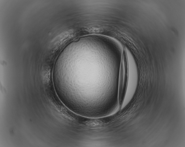 X0000090900652200708061505