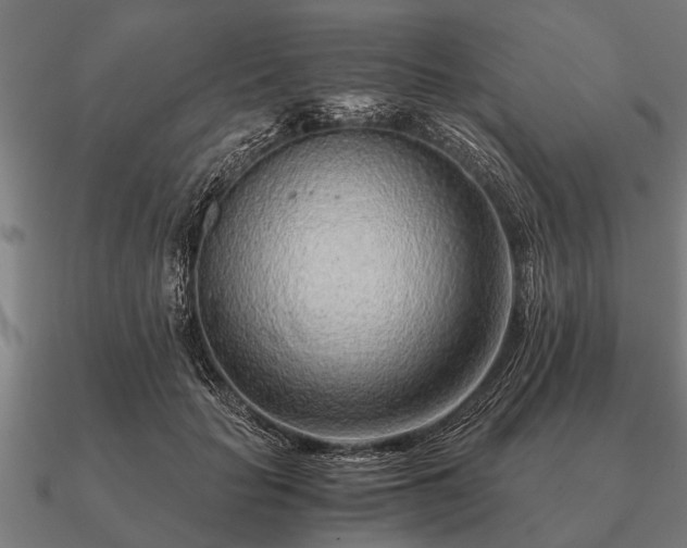 X0000090900653200708061505