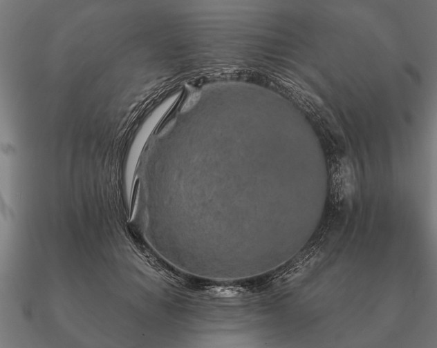 X0000090900654200708061505