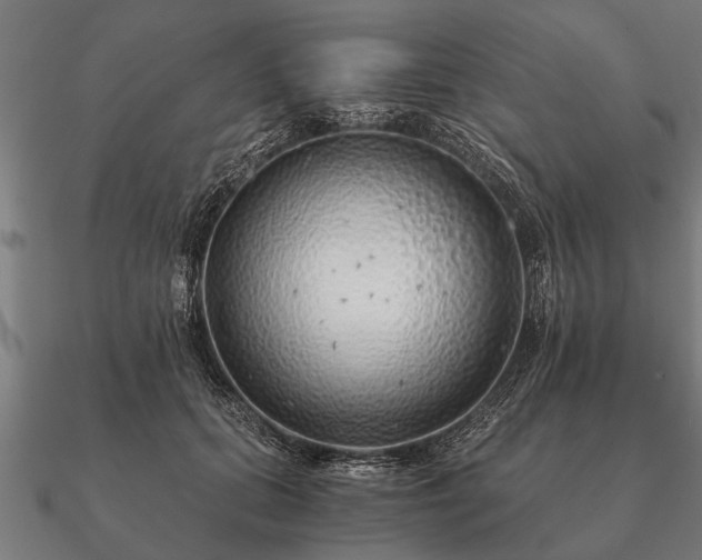 X0000090900655200708061505