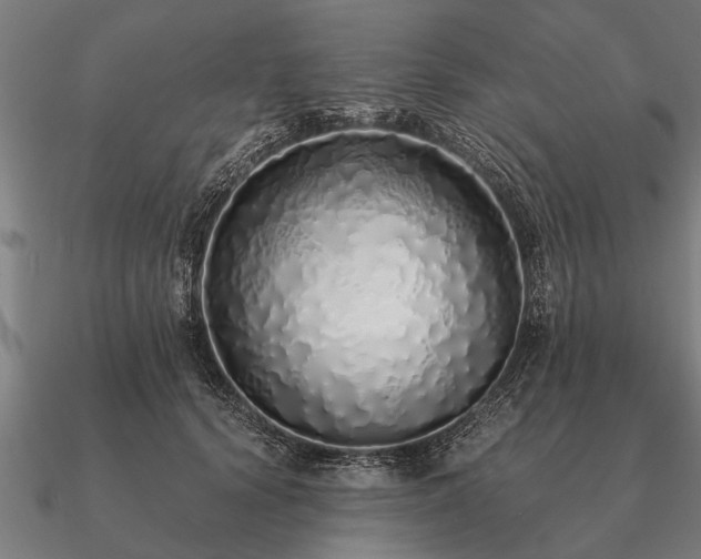 X0000090900656200708061505