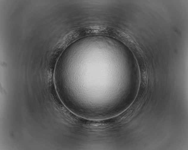 X0000090900657200708061505