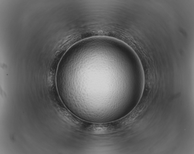 X0000090900658200708061505