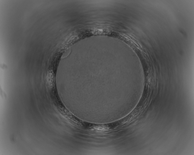 X0000090900659200708061505