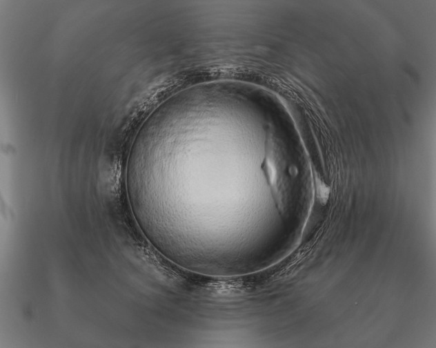 X0000090900660200708061505