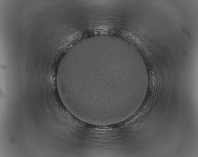 X0000090900661200708061505