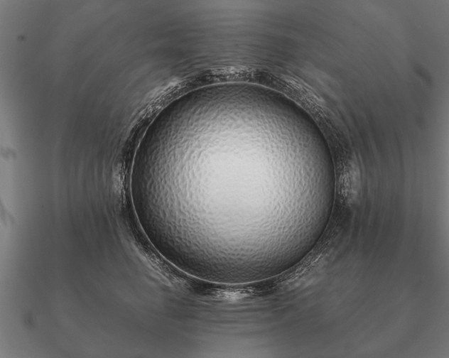 X0000090900662200708061505