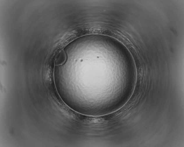 X0000090900663200708061505