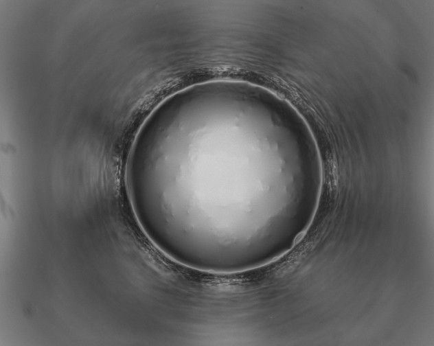 X0000090900664200708061505