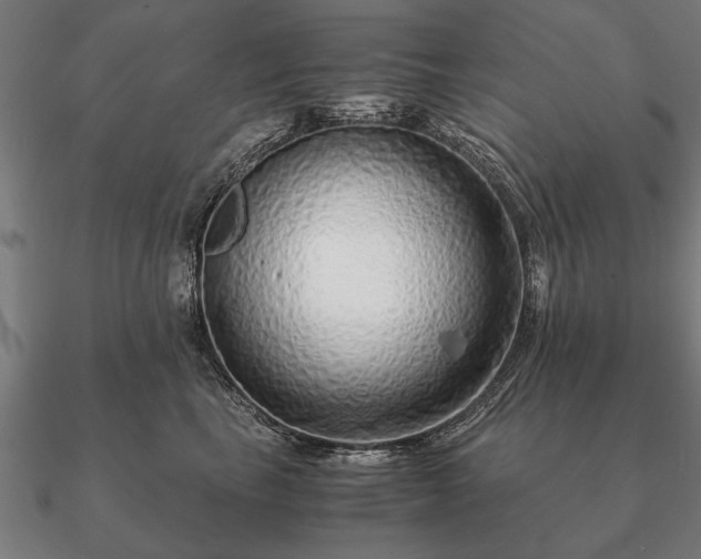 X0000090900665200708061505