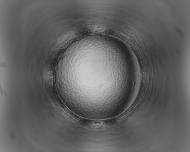 X0000090900666200708061505