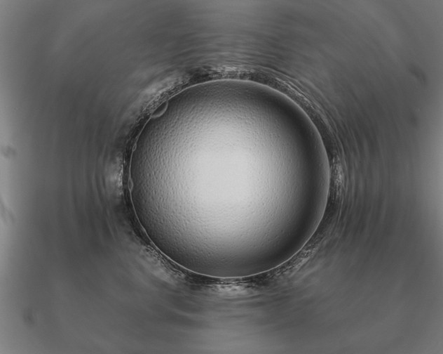 X0000090900668200708061505