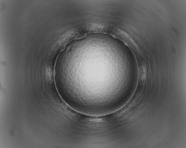 X0000090900669200708061505