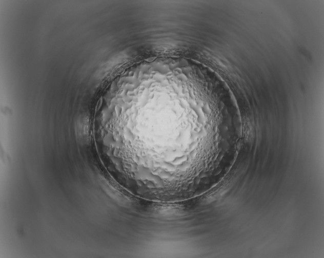 X0000090900670200708061505