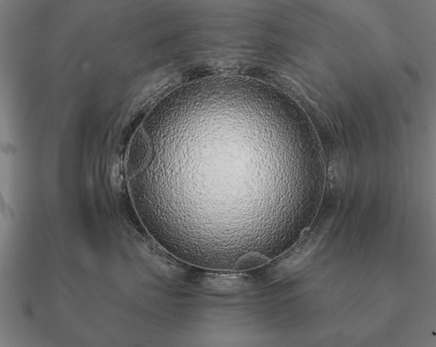 X0000090900671200708061505