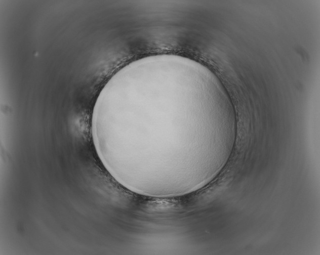 X0000090900672200708061505