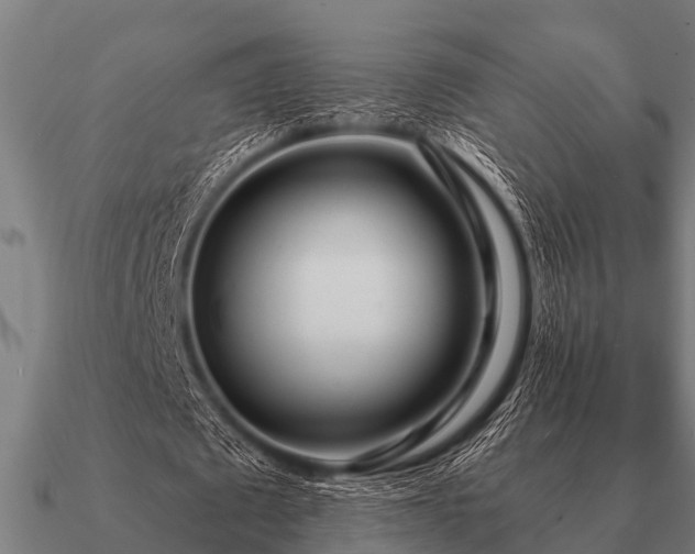 X0000090900673200708061504