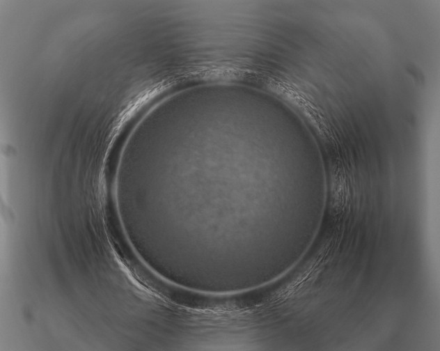 X0000090900674200708061504