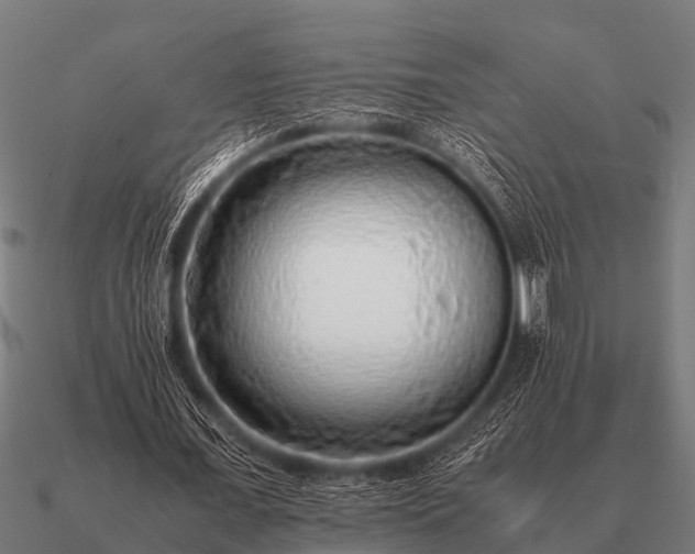 X0000090900675200708061504