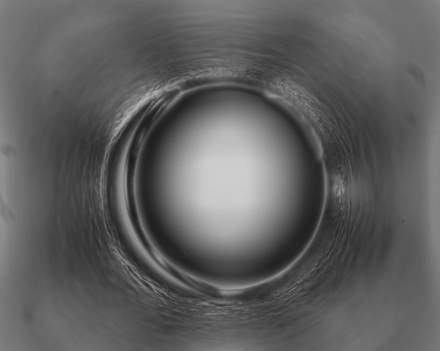 X0000090900676200708061504