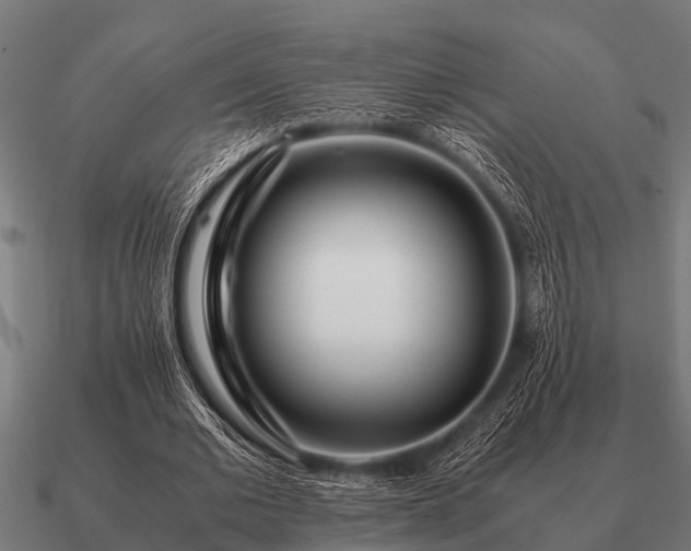 X0000090900677200708061504