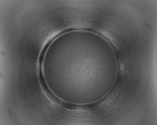 X0000090900678200708061504