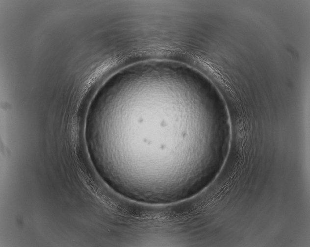 X0000090900679200708061504