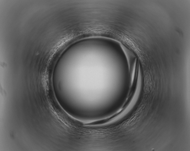 X0000090900680200708061504