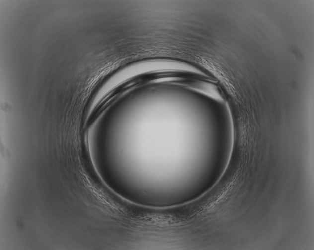 X0000090900681200708061504