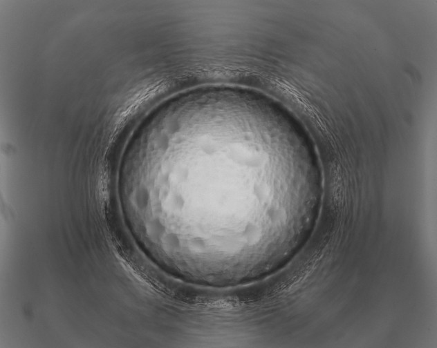 X0000090900683200708061504